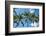 Palawan Palm Trees I-Richard Silver-Framed Photographic Print