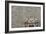 Palazzo Sanseverino, Piazza Del Gesu Nuovo, Naples-Richard Bryant-Framed Photographic Print