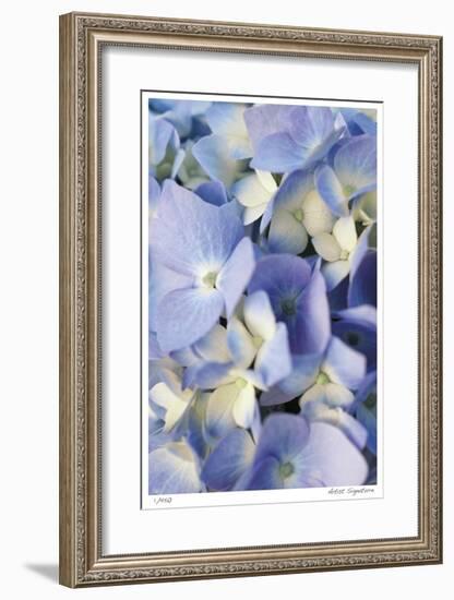 Pale Blue Hydrangea-Stacy Bass-Framed Giclee Print