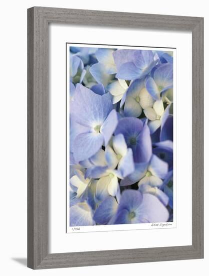 Pale Blue Hydrangea-Stacy Bass-Framed Giclee Print