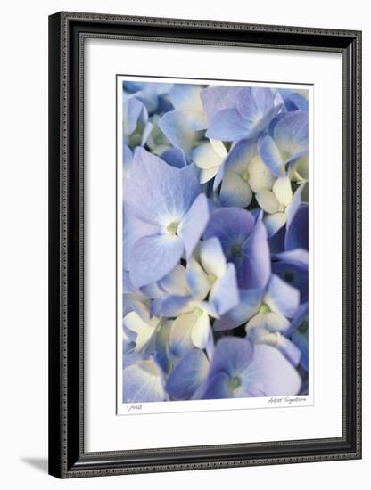 Pale Blue Hydrangea-Stacy Bass-Framed Giclee Print