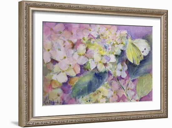 Pale Clouded Yellow Butterfly, Colias Hyale on Hydrangea-Karen Armitage-Framed Giclee Print