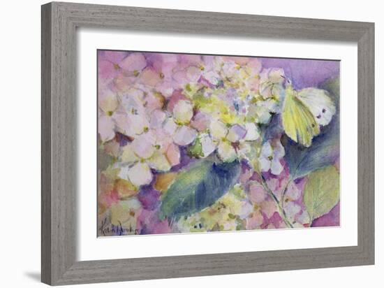 Pale Clouded Yellow Butterfly, Colias Hyale on Hydrangea-Karen Armitage-Framed Giclee Print