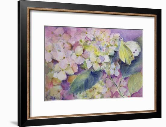 Pale Clouded Yellow Butterfly, Colias Hyale on Hydrangea-Karen Armitage-Framed Giclee Print