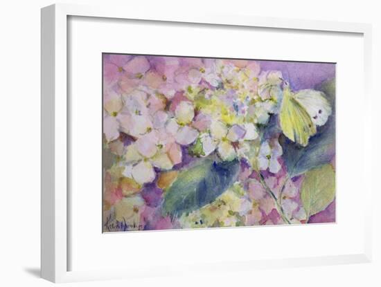 Pale Clouded Yellow Butterfly, Colias Hyale on Hydrangea-Karen Armitage-Framed Giclee Print