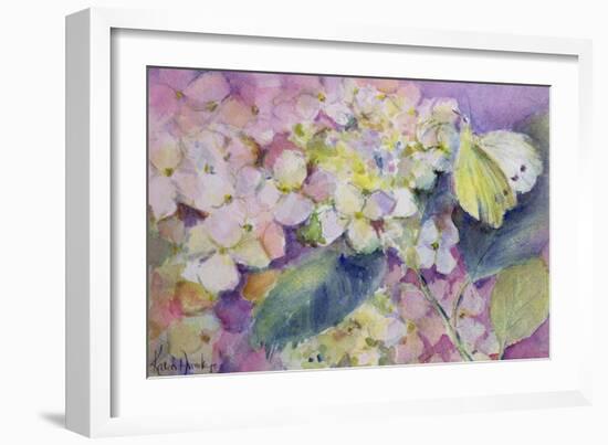 Pale Clouded Yellow Butterfly, Colias Hyale on Hydrangea-Karen Armitage-Framed Giclee Print