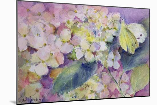 Pale Clouded Yellow Butterfly, Colias Hyale on Hydrangea-Karen Armitage-Mounted Giclee Print