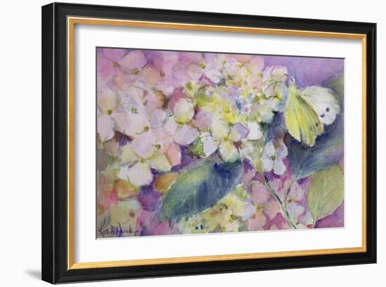 Pale Clouded Yellow Butterfly, Colias Hyale on Hydrangea-Karen Armitage-Framed Giclee Print