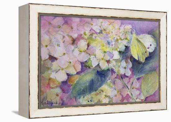 Pale Clouded Yellow Butterfly, Colias Hyale on Hydrangea-Karen Armitage-Framed Premier Image Canvas