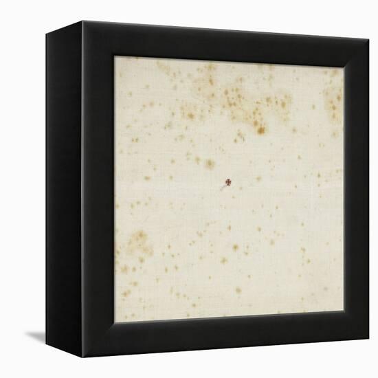 Pale en lin unie-null-Framed Premier Image Canvas