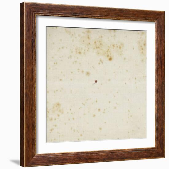 Pale en lin unie-null-Framed Giclee Print