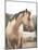 Pale Horse-Leah Straatsma-Mounted Art Print