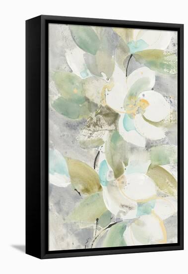 Pale Magnolia-Albena Hristova-Framed Stretched Canvas