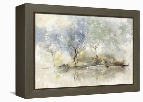 Pale Meadow-Allison Pearce-Framed Stretched Canvas