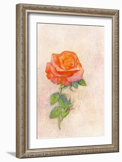 Pale Rose, 1980s-George Adamson-Framed Giclee Print