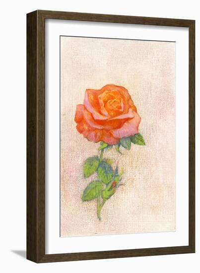 Pale Rose, 1980s-George Adamson-Framed Giclee Print