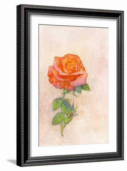 Pale Rose, 1980s-George Adamson-Framed Giclee Print