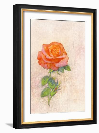 Pale Rose, 1980s-George Adamson-Framed Giclee Print