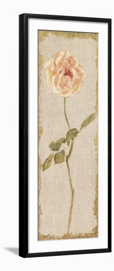 Pale Rose Panel on White Vintage-Cheri Blum-Framed Art Print