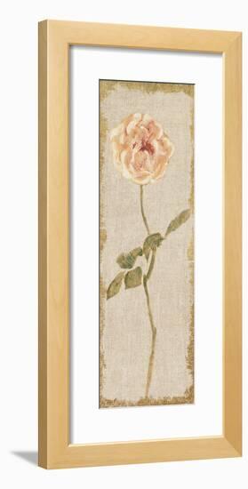 Pale Rose Panel on White Vintage-Cheri Blum-Framed Art Print