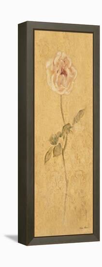 Pale Rose Panel-Cheri Blum-Framed Stretched Canvas