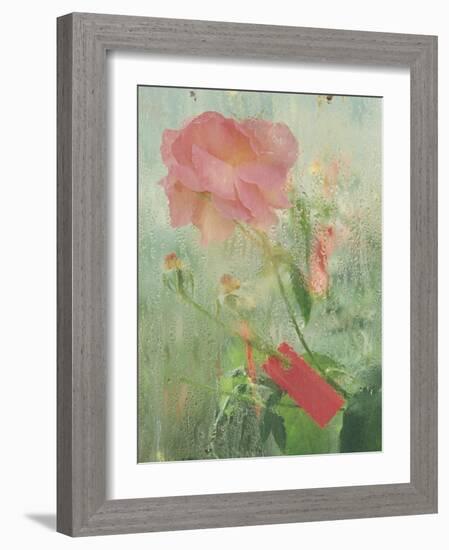 Pale Salmon Pink Rose Against a Window Pane with Heavy Condensation-Woolfitt Adam-Framed Photographic Print