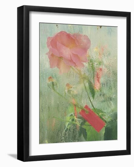 Pale Salmon Pink Rose Against a Window Pane with Heavy Condensation-Woolfitt Adam-Framed Photographic Print