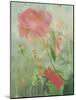 Pale Salmon Pink Rose Against a Window Pane with Heavy Condensation-Woolfitt Adam-Mounted Photographic Print