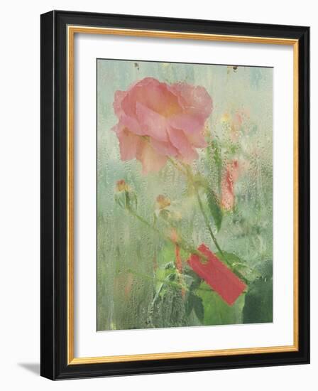 Pale Salmon Pink Rose Against a Window Pane with Heavy Condensation-Woolfitt Adam-Framed Photographic Print