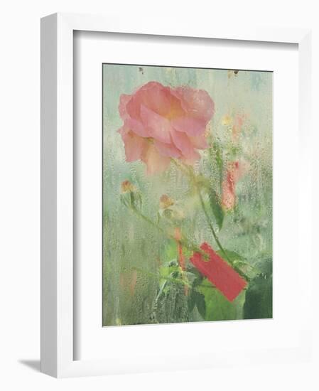 Pale Salmon Pink Rose Against a Window Pane with Heavy Condensation-Woolfitt Adam-Framed Photographic Print