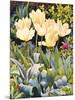 Pale Tulips-Christopher Ryland-Mounted Giclee Print