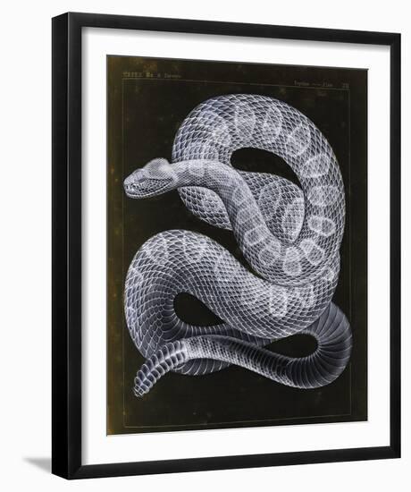 Palenque-Chris Dunker-Framed Giclee Print