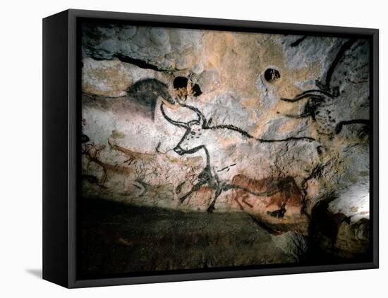 Paleolithic Art of Bulls, Deer, and Horses on Calcite Cave Walls, Lascaux, France., 2022 (Photo)-Sisse Brimberg-Framed Premier Image Canvas