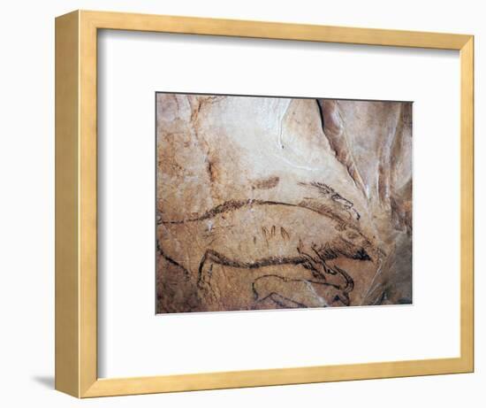 Paleolithic cave-painting of a bison and ibex. Artist: Unknown-Unknown-Framed Giclee Print