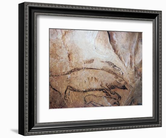Paleolithic cave-painting of a bison and ibex. Artist: Unknown-Unknown-Framed Giclee Print