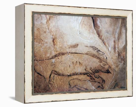 Paleolithic cave-painting of a bison and ibex. Artist: Unknown-Unknown-Framed Premier Image Canvas