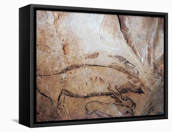 Paleolithic cave-painting of a bison and ibex. Artist: Unknown-Unknown-Framed Premier Image Canvas