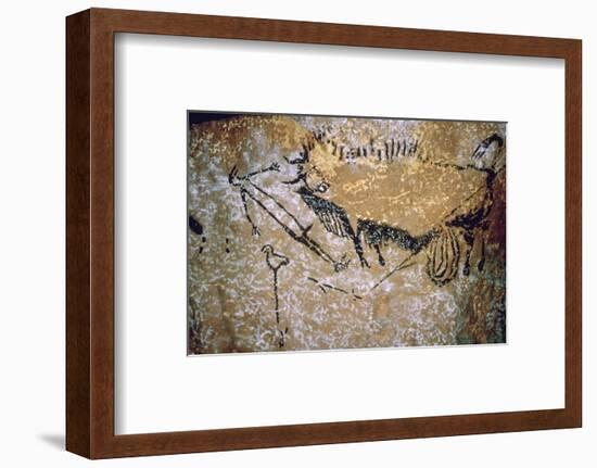 Paleolithic cave-painting of a Bison and Man from Lascaux. Artist: Unknown-Unknown-Framed Photographic Print