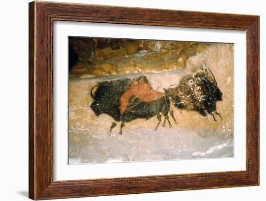 Paleolithic cave-painting of Bison from Lascaux, France. c50,000-c10,000 BC-Unknown-Framed Giclee Print