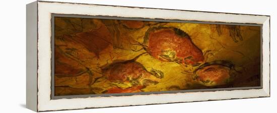 Paleolithic Paintings, Altamira Cave, Santillana Del Mar, Cantabria, Spain-null-Framed Premier Image Canvas