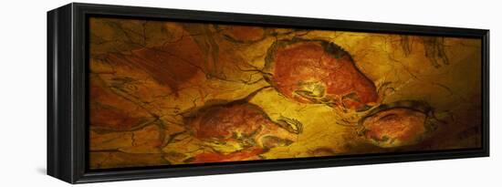Paleolithic Paintings, Altamira Cave, Santillana Del Mar, Cantabria, Spain-null-Framed Premier Image Canvas