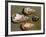 Paleolithic Tools-null-Framed Photographic Print