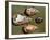 Paleolithic Tools-null-Framed Photographic Print