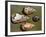 Paleolithic Tools-null-Framed Photographic Print