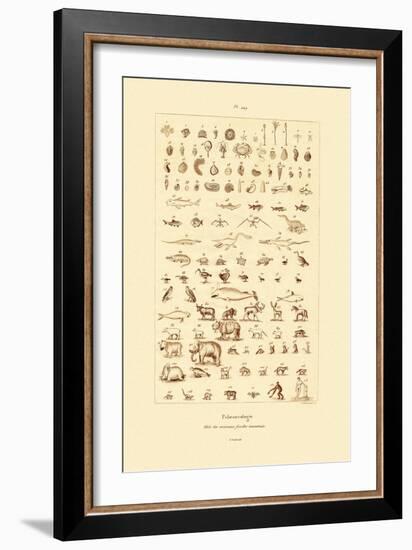 Paleontology, 1833-39-null-Framed Giclee Print