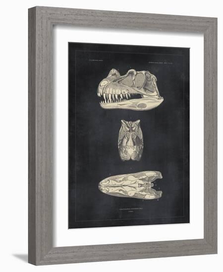 Paleontology - Ceratosaurus-The Vintage Collection-Framed Giclee Print