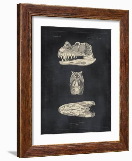 Paleontology - Ceratosaurus-The Vintage Collection-Framed Giclee Print