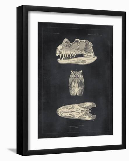 Paleontology - Ceratosaurus-The Vintage Collection-Framed Giclee Print