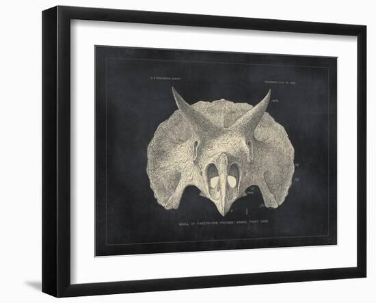 Paleontology - Cretaceous-The Vintage Collection-Framed Giclee Print