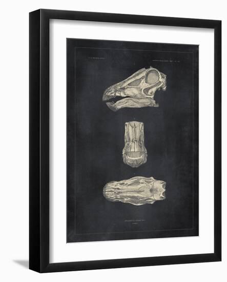 Paleontology - Diplodocus-The Vintage Collection-Framed Giclee Print